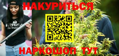сатива Новодвинск