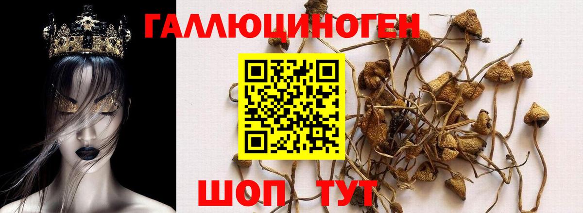 Чусовой  Галлюциногенные грибы мицелий  Вход с VPN 